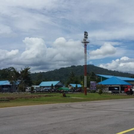 Dr. Ferdinand Lumban Tobing Airport